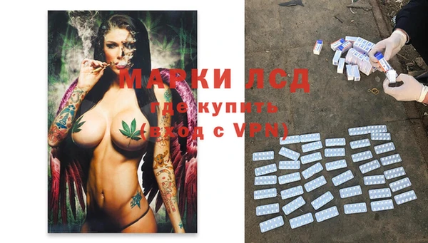 гидра Алзамай