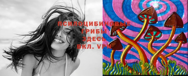 наркотики Алексеевка