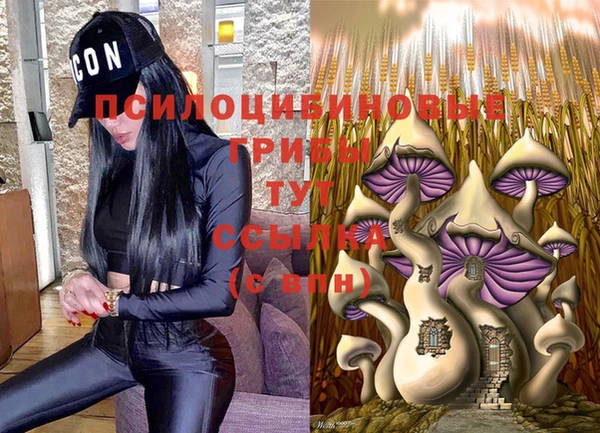 эйфоретик Алексин