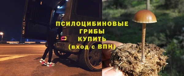 эйфоретик Алексин